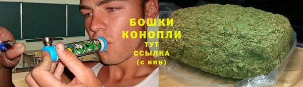 мдпв Володарск