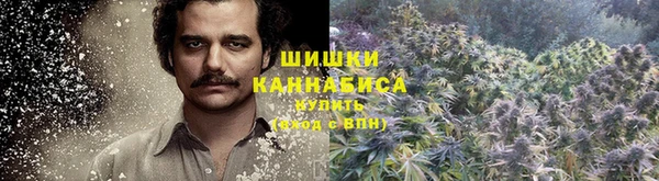 спиды Верея