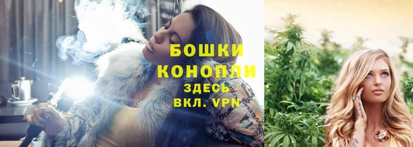мдпв Володарск