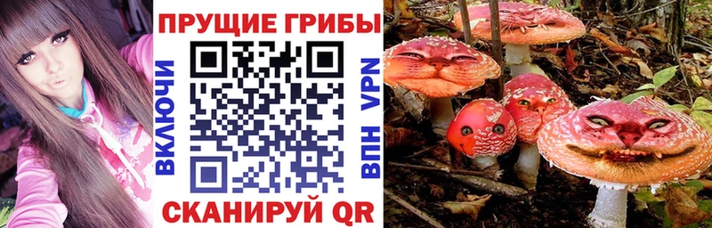 цены Брюховецкая Галлюциногенные грибы ЛСД
